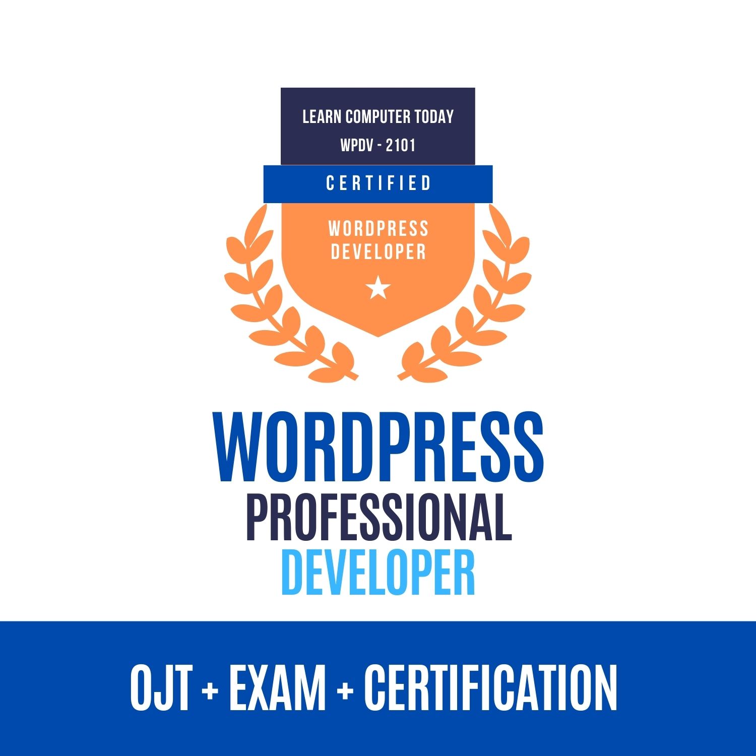 wordpress-professional-developer